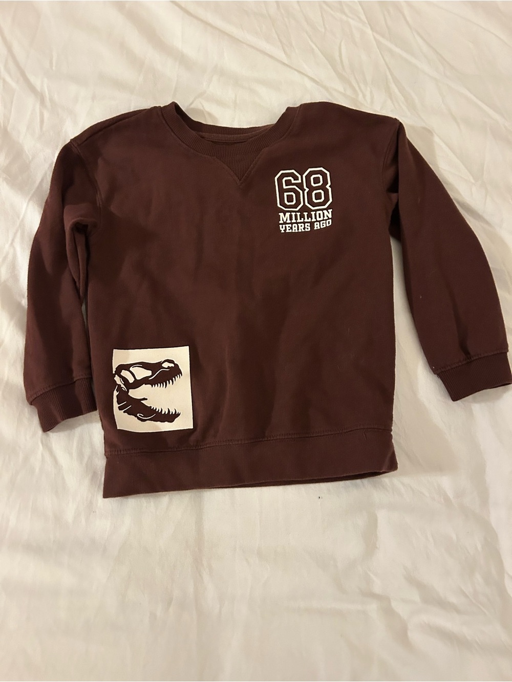 Cat & Jack Brown Dino '68 Million Years Ago' Sweatshirt